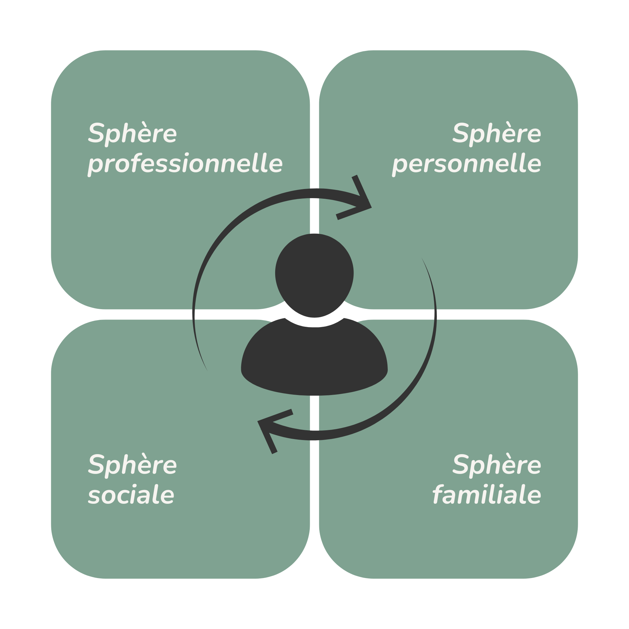 Les sphères de vie considérées par les psychologues au sein du cabinet Entresens Conseil dans leur accompagnement