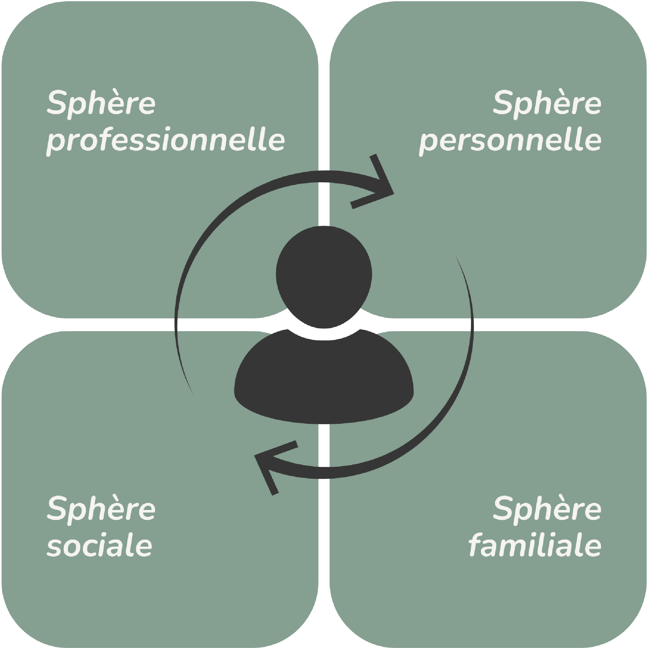 Les sphères de vie considérées par les psychologues au sein du cabinet Entresens Conseil dans leur accompagnement